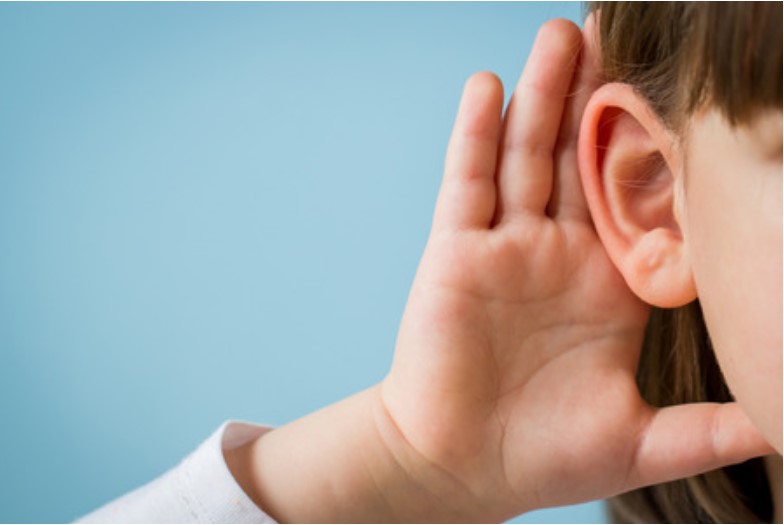 Adjust the volume for listening to the speaker and the interpreter