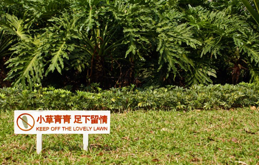Examples of Chinglish