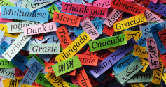 The challenges of translation